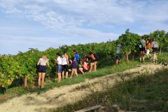 WhatsApp-Image-2022-10-14-at-13.57.40-2